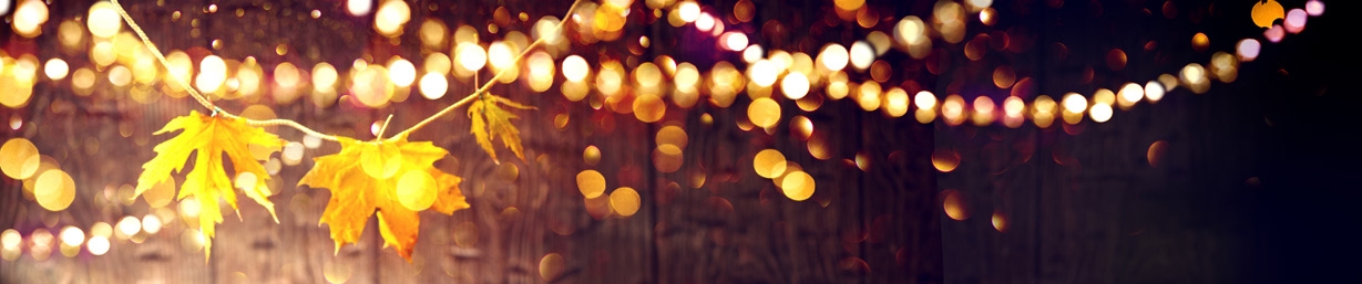 Thanksgiving Data Package