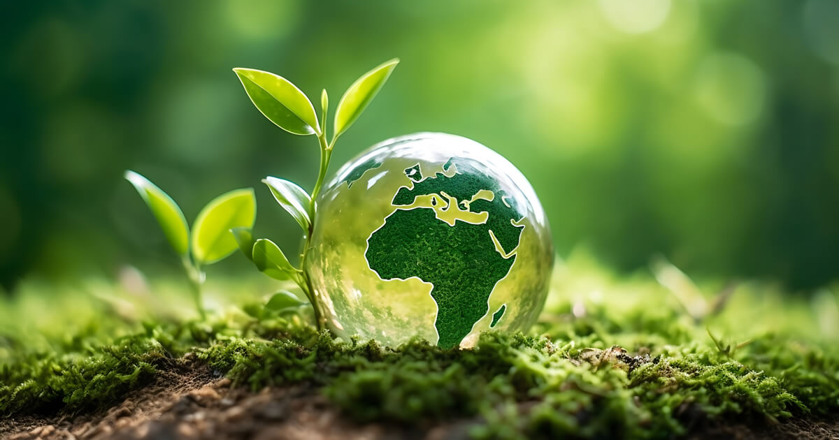 Janet Cinfio (she/her)